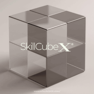 SkiiCubeX Entwicklungsprogramm für Führungskräfte