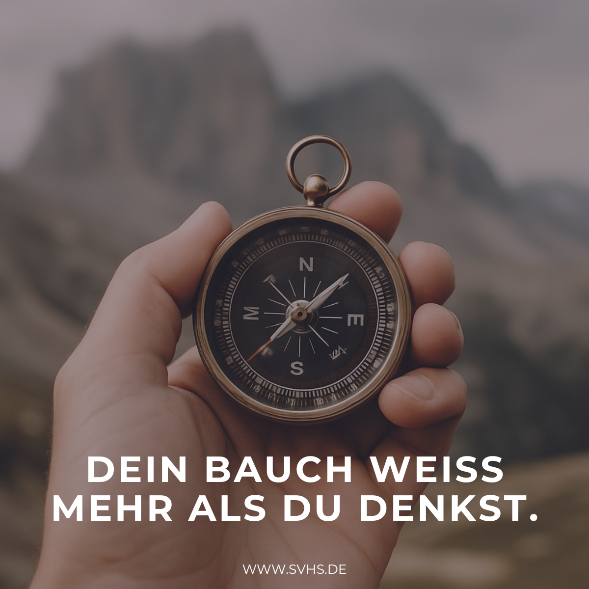 SVHS_Bauchgefühl_Intuition.png 1 Eigener Intuition vertrauen